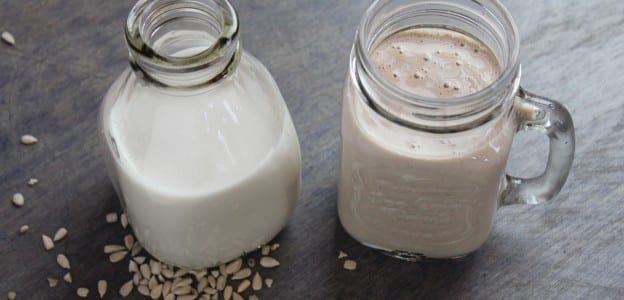 La leche de Alpiste Adelgaza? Beneficios y Consejos 1 La leche de Alpiste Adelgaza? Beneficios y Consejos 1