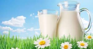 La Leche es Ideal para una Dieta Baja en Carbohidratos (Menos de Hidratos de carbono) – Consejos y Recetas