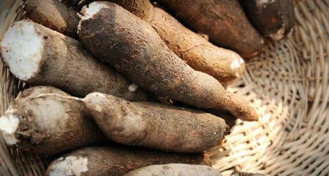 10 Beneficios de la Yuca - Para que sirve y propiedades 1 10 Beneficios de la Yuca - Para que sirve y propiedades