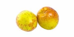 11 Beneficios de la Fruta Mangaba – Para Que Sirve y Propiedades