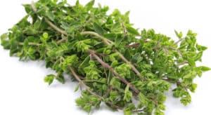 12 Beneficios de la mejorana - Para que sirve, té y propiedades