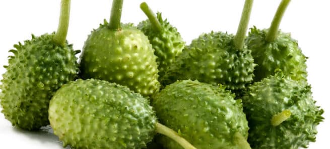 El jugo de Maxixe Adelgazar? Para Que Sirven las Recetas 1 El jugo de Maxixe Adelgazar? Para Que Sirven las Recetas 1