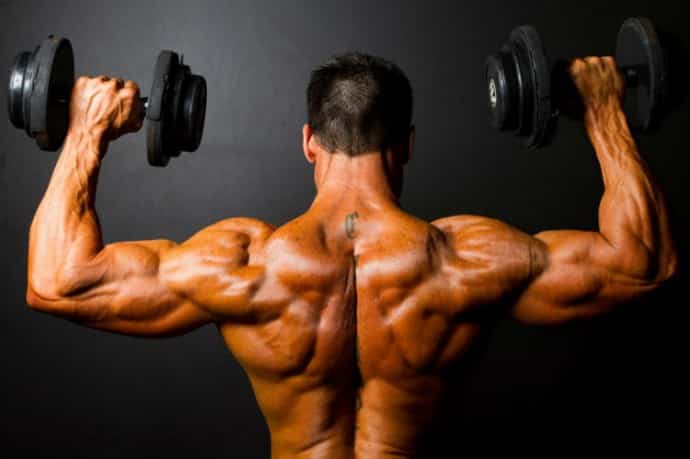 Cómo es el Proceso de Ganancia de Masa Muscular en el Cuerpo? 1 Cómo es el Proceso de Ganancia de Masa Muscular en el Cuerpo? 1