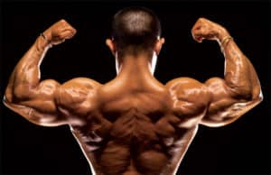 7 Consejos Para Maximizar el Anabolismo
