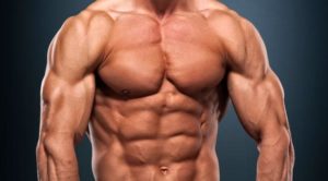 ¿Qué es la Masa Magra y la Masa Grasa?