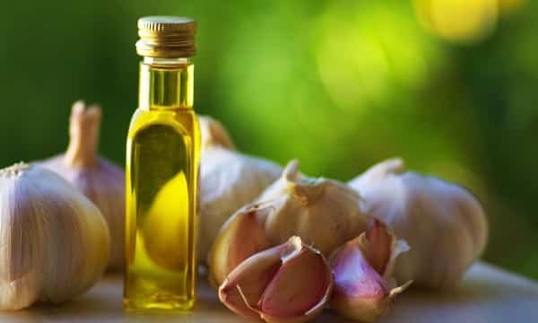 El aceite de Ajo Adelgaza? Los beneficios Para la Salud y el Buen estado de Forma 1 El aceite de Ajo Adelgaza? Los beneficios Para la Salud y el Buen estado de Forma 1