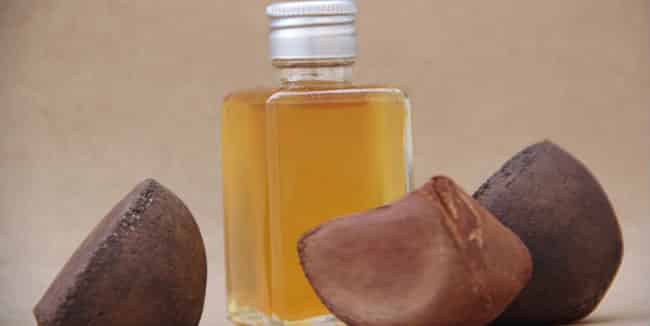 6 Beneficios del aceite de andiroba - Para que sirve y consejos 1 6 Beneficios del aceite de andiroba - Para que sirve y consejos