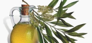 8 Beneficios del Aceite de árbol del té – Para Que Sirve y Consejos
