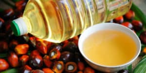 El aceite de Palma Es perjudicial o beneficioso?