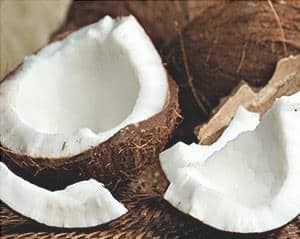 aceite de coco metabolismo