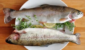 8 Mejores alimentos con Omega 3