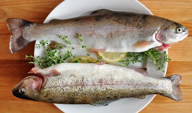 8 Mejores alimentos con Omega 3