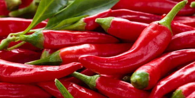 Comer Mucho Picante Hace Mal? 1 Comer Mucho Picante Hace Mal? 1