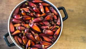 Piñón De Carne? Las calorías y el Análisis de