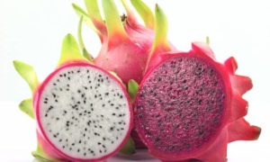 Pitaya Adelgazar? Los beneficios, las Calorías y los Consejos
