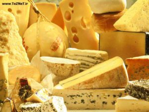 El queso de Engorda o Adelgaza? Que Tipo?