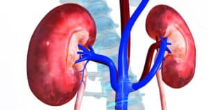 Insuficiencia Renal Crónica – Síntomas y Tratamiento