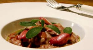 10 Recetas de Piñón Light – Cocido, Asado y Consejos