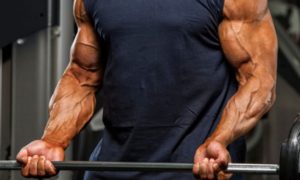 La relación Entre la Fuerza Muscular y la Masa Muscular.
