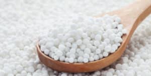 Los bosques Engorda o Adelgaza?