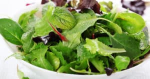10 Recetas de Ensalada de Hojas Verdes Light
