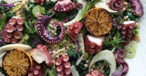 10 Recetas de pulpo light
