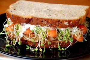 10 Recetas de Aperitivo Natural Light (Pocas Calorías)