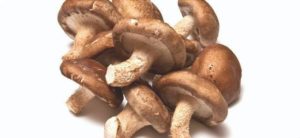 8 Tipos de setas comestibles - Beneficios y consejos