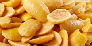 Soja, Pan Tostado Engorda? – SaludResponde.Org