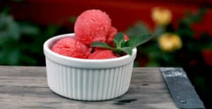 10 Recetas de Sorbete Light