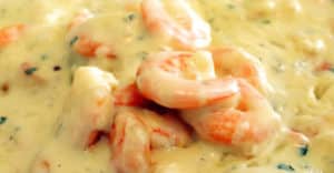 8 Recetas de strogonoff de camarón light