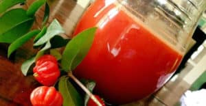 7 Beneficios del Jugo de Pitanga – Como Hacer, Recetas y Consejos