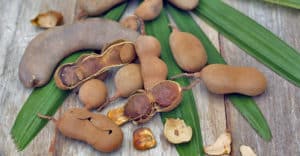 15 Beneficios del tamarindo - Para que sirve y propiedades