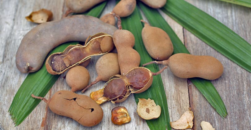 15 Beneficios del tamarindo - Para que sirve y propiedades 1 15 Beneficios del tamarindo - Para que sirve y propiedades