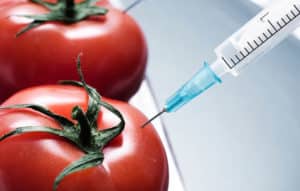Alimentos Transgénicos – 11 Mayores Mitos y Verdades