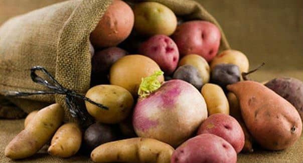 10 Verduras Que Engordan - SaludResponde.Org 1 10 Verduras Que Engordan - SaludResponde.Org 1