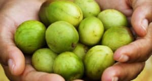 8 Beneficios de la fruta umbu para la salud y la buena forma