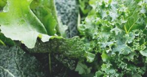 La Controversia del Ácido Oxálico en los Alimentos