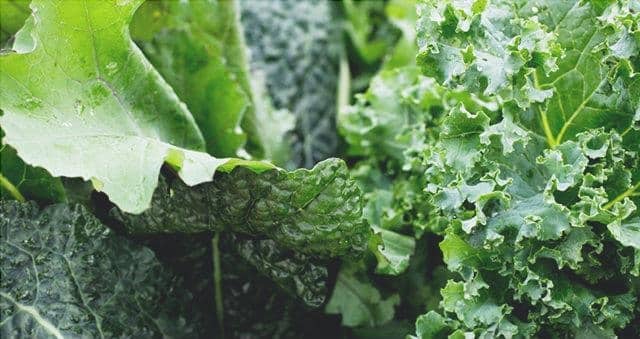 Las Verduras