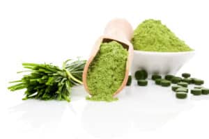Wheatgrass (Pasto de Trigo): ¿Qué es, sus Beneficios y la Toma de