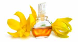 Ylang-Ylang, Para Que Sirve, sus Beneficios y Propiedades