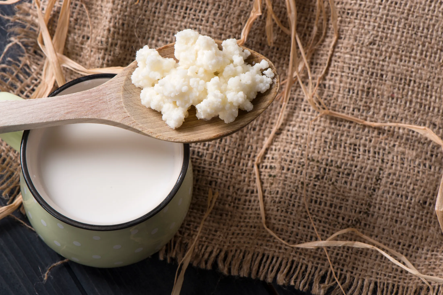 11 beneficios del kéfir: para qué sirve y sus propiedades 1 Granos de kéfir usados para preparar leche fermentada natural, base de muchos beneficios del kéfir para la salud