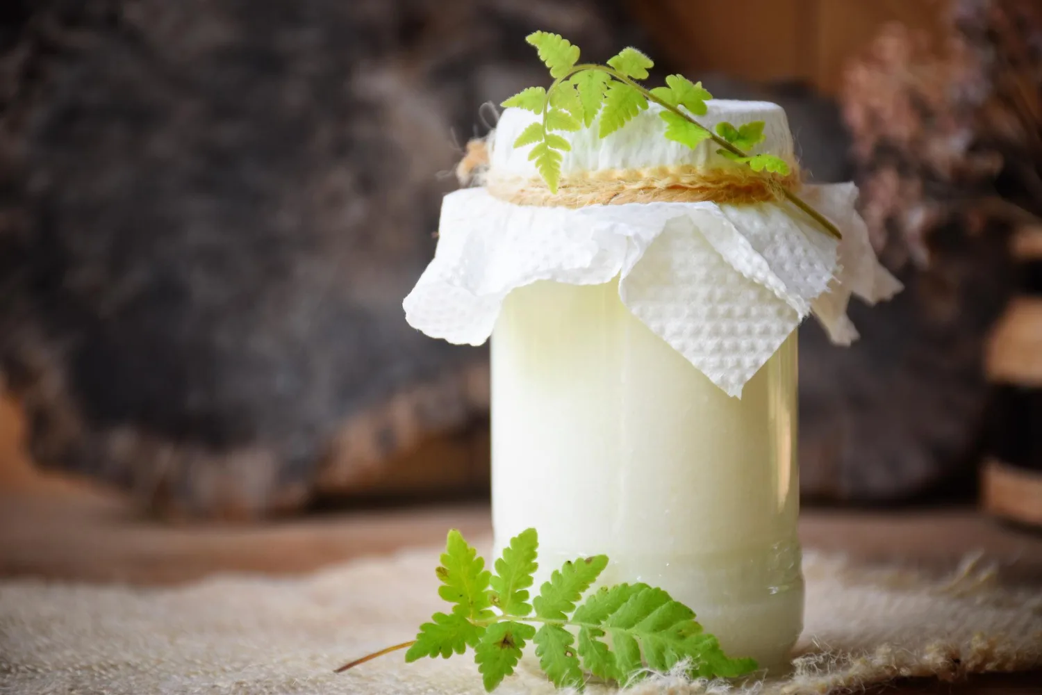 11 beneficios del kéfir: para qué sirve y sus propiedades 8 Frasco de kéfir cubierto con tela blanca y hojas verdes, fermentando en casa de forma natural