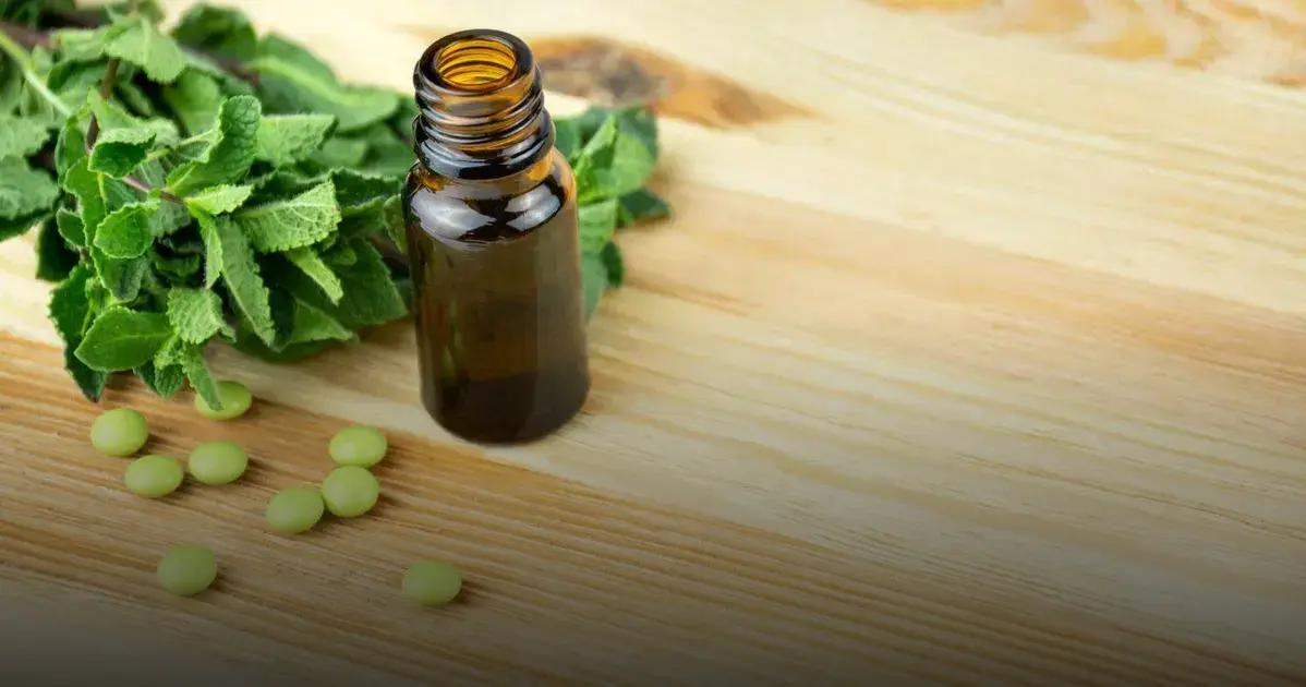 Aceite de orégano como tomarlo: beneficios y modos efectivos