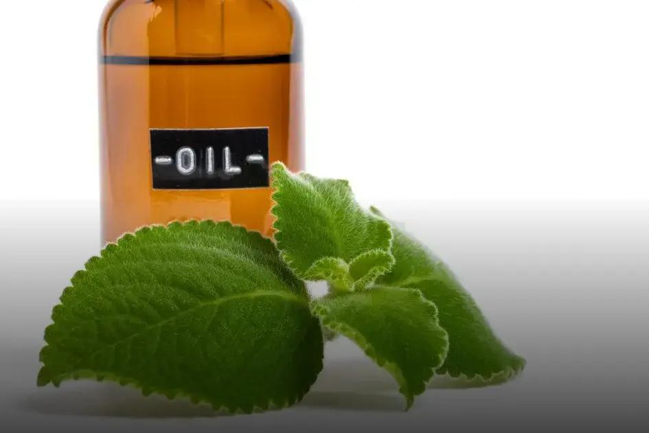 Aceite de oregano para hongos en las uñas: el secreto natural que necesitas 1 Aceite de oregano para hongos en las uñas: el secreto natural que necesitas