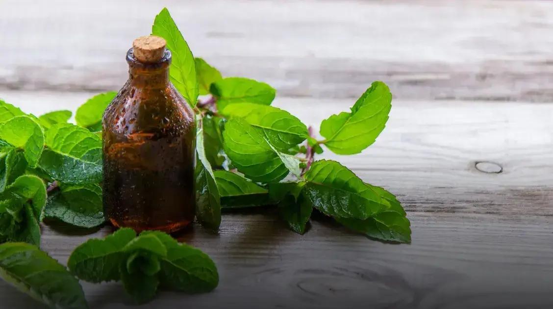 Cómo tomar aceite de orégano para la candidiasis de forma efectiva y natural 1 Aceite de orégano en gotero sobre una mesa con hierbas naturales, usado para tratar candidiasis