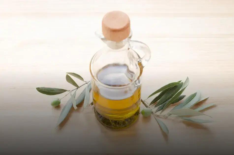 Para que es bueno el aceite de orégano: secretos y beneficios sorprendentes 1 Para que es bueno el aceite de orégano: secretos y beneficios sorprendentes
