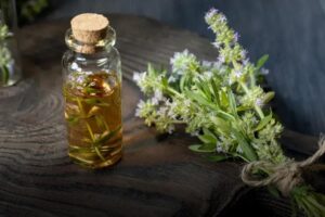 Para que sirven las cápsulas de aceite de orégano: beneficios sorprendentes
