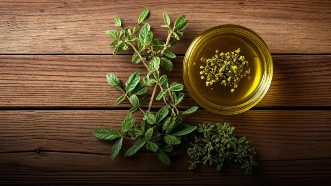 Peligros del aceite de oregano: lo que debes saber ahora mismo 1 Peligros del aceite de oregano: lo que debes saber ahora mismo