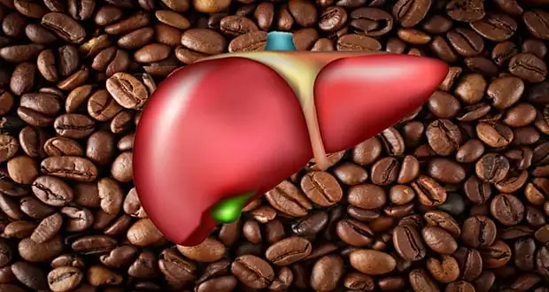 Tomar Café Puede Reducir el Daño del Alcohol en el Hígado por la Mitad